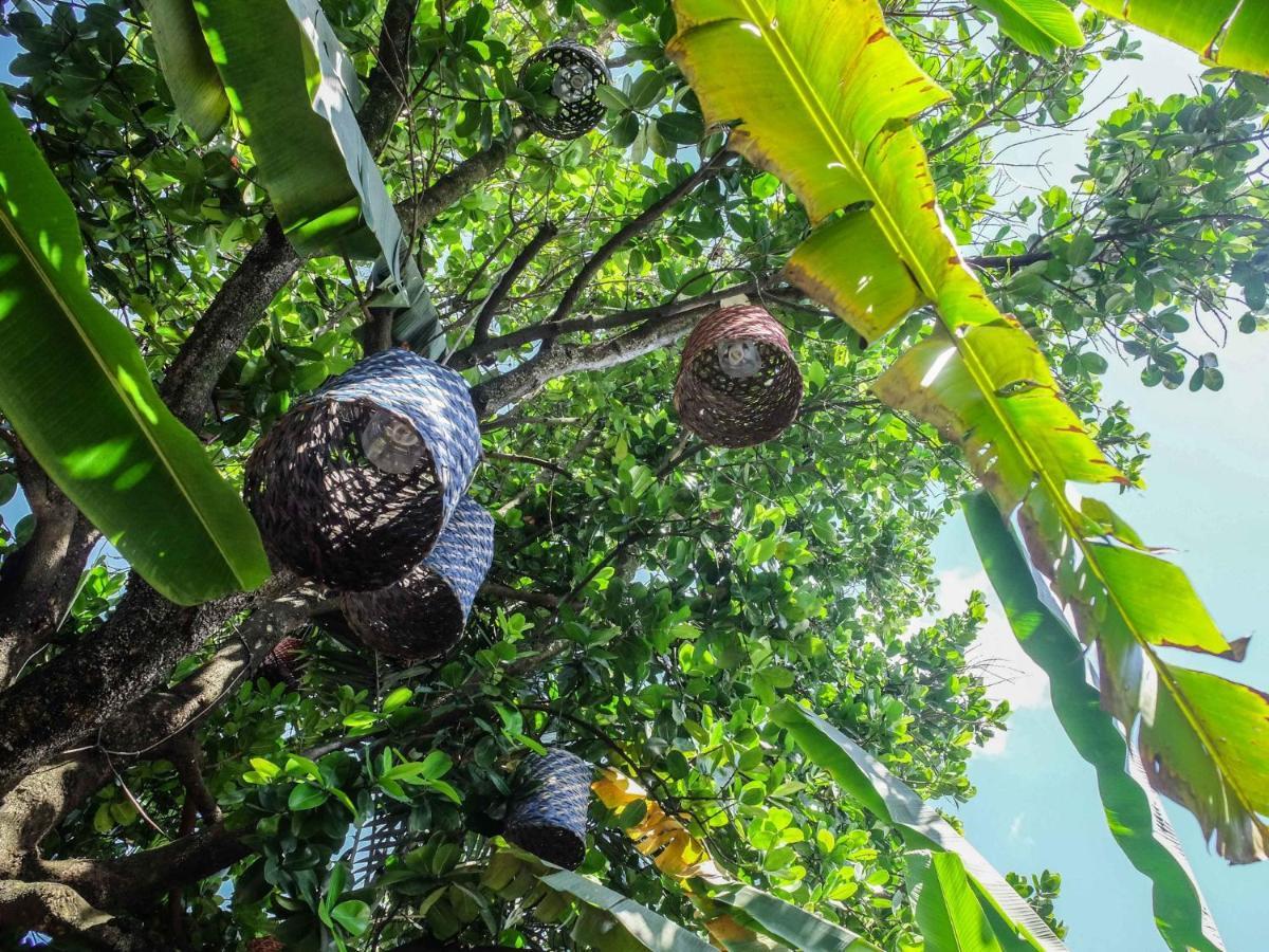 Casa De Palos Boutique Tarapoto Eksteriør bilde