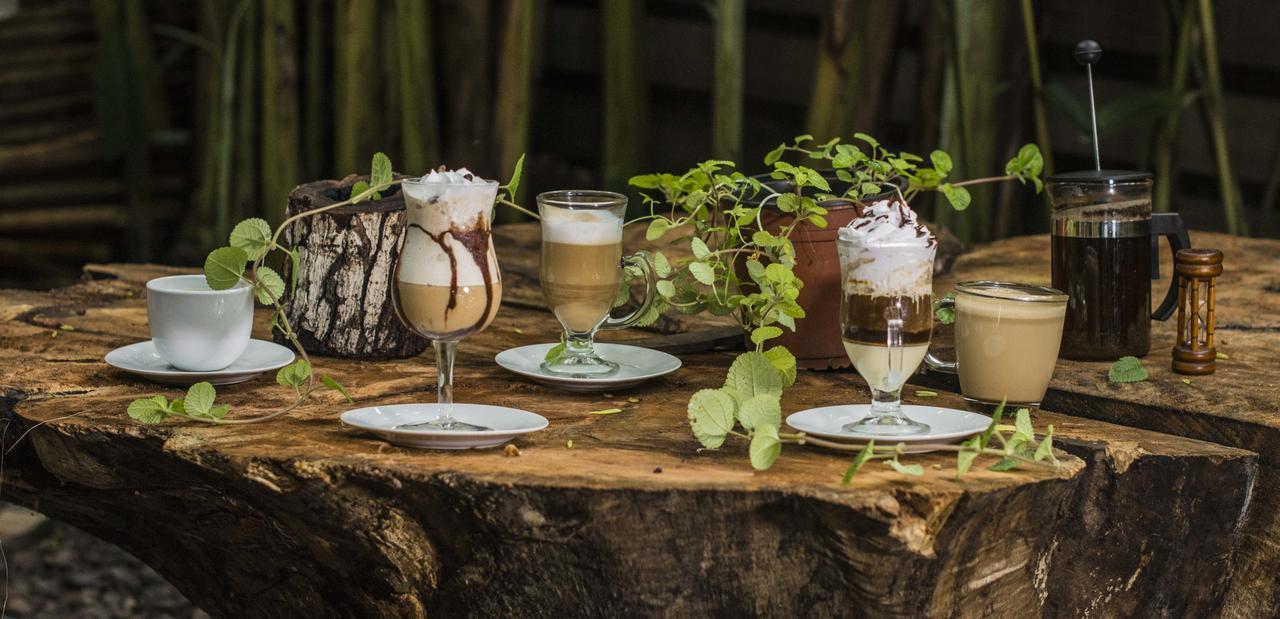 Casa De Palos Boutique Tarapoto Eksteriør bilde